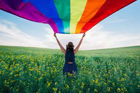 Pulsa para ampliar y pasa las imágenes. Junio Mes Del Orgullo Gay Proyecta Tu Bienestar