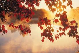Pretty fall backgrounds (51+ images). Autumn Leaves Home Facebook