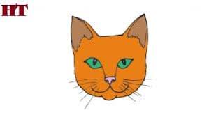 Hahaha.learn how to draw the nyan cat with us! How To Draw A Cat Face Step By Step Easy