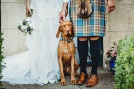 Find someone who shares your vision & style. What Does A Phase 3 Of Lockdown Garden Wedding In Scotland Really Look Like Pictorial Photography