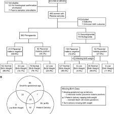 Description Of Study Population A Flow Chart Of Samples