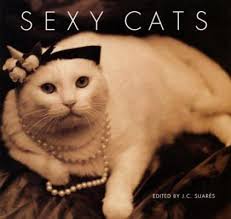 Sexy Cats book by J.C. Suares