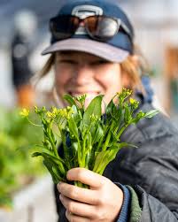 High Country Conservation Center