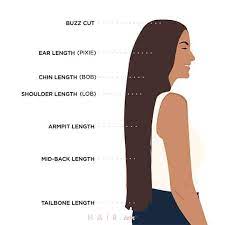 From layered looks to hairstyles like man buns, there are so many ways to make a little extra length work for you. Hair Length Chart Every Single Cut Length You Need To Know Hair Com By L Oreal