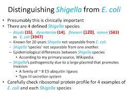Bacterial Id By Maldi Using Dna Databases Simultof Systems Marlborough Ma Ken Parker Ppt Download