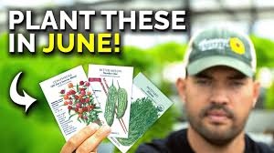 11 Fruits and Vegetables to Direct Sow in June