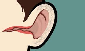 Some common areas of treatment are: Ultimate Ear Hair Removal Guide 2021 In Depth Reviews Of Each Method
