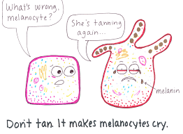 Because it is often caused by exposure to the sun, skin cancer is one of the most common cancers in the world. Skin Puns