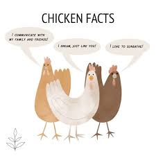 Chicken Facts Vegan Plantbased Livekindly Veganart Animalart Chicken Facts Vegan Animals Animal Slaughter