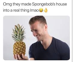 Find and save funny stock photos memes | from instagram, facebook, tumblr, twitter & more. Memebase Ridiculous Stock Photo All Your Memes In Our Base Funny Memes Cheezburger