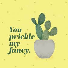 Want to see more posts tagged #cactus meme? 50 Plant And Cactus Puns For Your Inner Plant Lady Proflowers