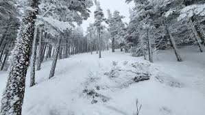Per request: A post where there's no complaints about lift lines, crowds,  stolen skis, or ice. Video was shot while we skied 15 of 16 days during  winter break at Saddleback Maine. 🔥