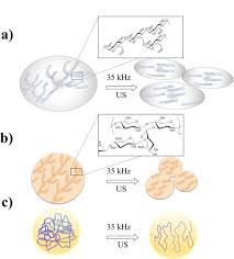 They even sell gluten free condensed soups now, too (pacific brand is gluten free). Ultrasound Assisted Fabrication Of Gluten Free Dough For Automatic Producing Dumplings Sciencedirect