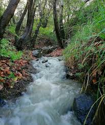 شمال ايران محافظة كيلان قرية ماسوله التاريخية الساحرة الجزء الثاني. Ø¹ÙŠÙ† Ø¹Ù„Ù‰ Ø§ÙŠØ±Ø§Ù† Ø¬Ù…Ø§Ù„ Ø§Ù„Ø·Ø¨ÙŠØ¹Ø© ÙÙŠ Ù‚Ø±ÙŠØ© Ø³Ù†Ú¯Ø§Ù† Ø§Ø·Ø±Ø§Ù Ø§Ù„Ø¹Ø§ØµÙ…Ø© Facebook