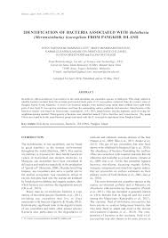We did not find results for: Pdf Identification Of Bacteria Associated With Holothuria Mertensiothuria Leucospilota From Pangkor Island Ts Gs Dr Kamarul Rahim Bin Kamarudin Academia Edu