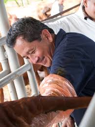 Final Report for FW07-307