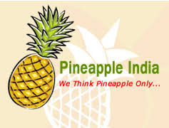 Pineapple Manufacturing Pineapple Processing Pineapple