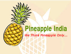 Pineapple Manufacturing Pineapple Processing Pineapple