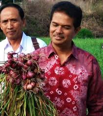 Sejumlah pedagang di pasar induk kramat jati mengaku harga bawang merah dan bawang putih relatif stabil, meskipun terjadi kenaikan harga di beberapa daerah. Kementan Optimis Harga Bawang Merah Kembali Normal Independensi