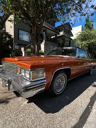 Image result for Tan Firemist 1980 GM