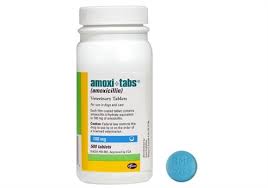 Image result for Amoxicillin
