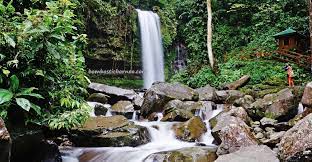 Tapi tenang saja, di bawah anda akan dibuai oleh pesona air terjun fantastis yang dikelilingi oleh pepohonan hijau nan asri. Air Terjun Mahua Waterfall Sabah Nature Tourist Attraction Bombastic Borneo
