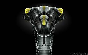 You can also upload and share your favorite mamba mentality wallpapers. Mamba Mentality Wallpapers Wallpaper Cave