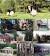 Percy Jackson Cabin Symbols