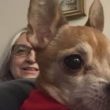 Happy Birthday to the amazing, Dan Bakkedahl! 🌟