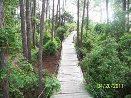 Maybe you would like to learn more about one of these? Bridge Picture Of Raccoon River Campground Panama City Beach Tripadvisor