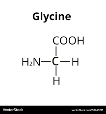 Image result for Glycine
