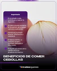Sabías que la cebolla puede ser tu aliada para la salud? 🧅✨ ¿Qué sucede si  la incluyes todos los días en tu dieta? 🤔 Estos son los beneficios reales.  Esta verdura se