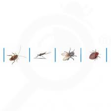 A mole cricket management program will not provide 100% control. Solfac Ew50 100 Ml Insecticide From Bayer With Cyfluthrin Nexles Europe