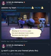 The following is a list of items that make good gifts for kidd, who likes official, gray items and dislikes flashy items. Jollyhedgehog