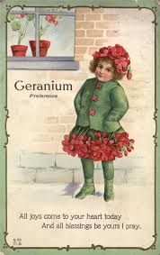 Pin By Deborah Piascik On Garden My Heart Geraniums Red Geraniums Geranium Flower