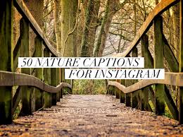 50 Best Nature Captions For Instagram Travelers Around The World Here are the best jumanji: