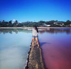 Puerto Rico Pink Water Salt Crystals Salt And Water Puerto Rico Puerto