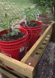 We did not find results for: Grow Food In 5 Gallon Buckets 15 Fruits Veggies That Thrive