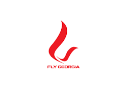 Image result for fly logo
