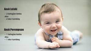 Aqiqah untuk anak lelaki & anak perempuan jom ikuti pencerahan daripada imam muda faris. Syarat Dan Ketentuan Jenis Hewan Aqiqah Anak Laki Laki Dan Perempuan Santri Aqiqah Aqiqah Jogja Murah Mudah Dan Hemat