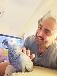 Whoever decides to get such a creature in his home, know that his life will  change, it will not be the same as it was before you got this creature..  your daily