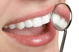 5 Dental Care Tips - Beavers Caring ...