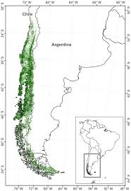 Argentina and chile meet on monday afternoon in their copa america group stage opener, with each side looking to better the result they had against each other just over a week ago. 1 Map Of Temperate Forest Of South America From Chile And Argentina Download Scientific Diagram