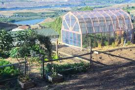 It can also be used to start your seedlings well in advance, too. How To Build A Greenhouse