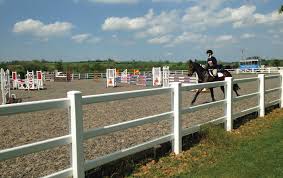 Cavalli da lasciare fuori al prato più del solito? Staccionate In Pvc Equiteria