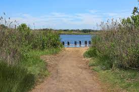 Wandering Through Brooklyn S Natural Past In Marine Park Brownstoner