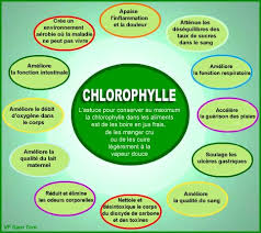 La Chlorophylle Des Vegetaux A Plusieurs Vertus Prise Quotidiennement Dans Des Jus De Legumes Voire En Gelules Elle Contribue Grand Pie Chart Nutrition Chart