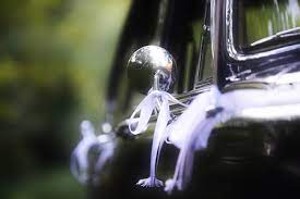 3000 aviation way,west columbia, sc 29170. Wedding Car Rental Columbia Sc It S Perfect Weddings