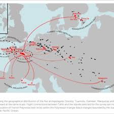 Image result for Polyphlebium borbonicum