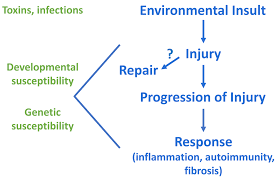 This delays (or in about 25% of children. Recent Advances In Understanding Biliary Atresia F1000research